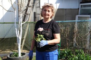 Заядлый овощевод Любовь Козякова: «Огород — это бальзам для души»